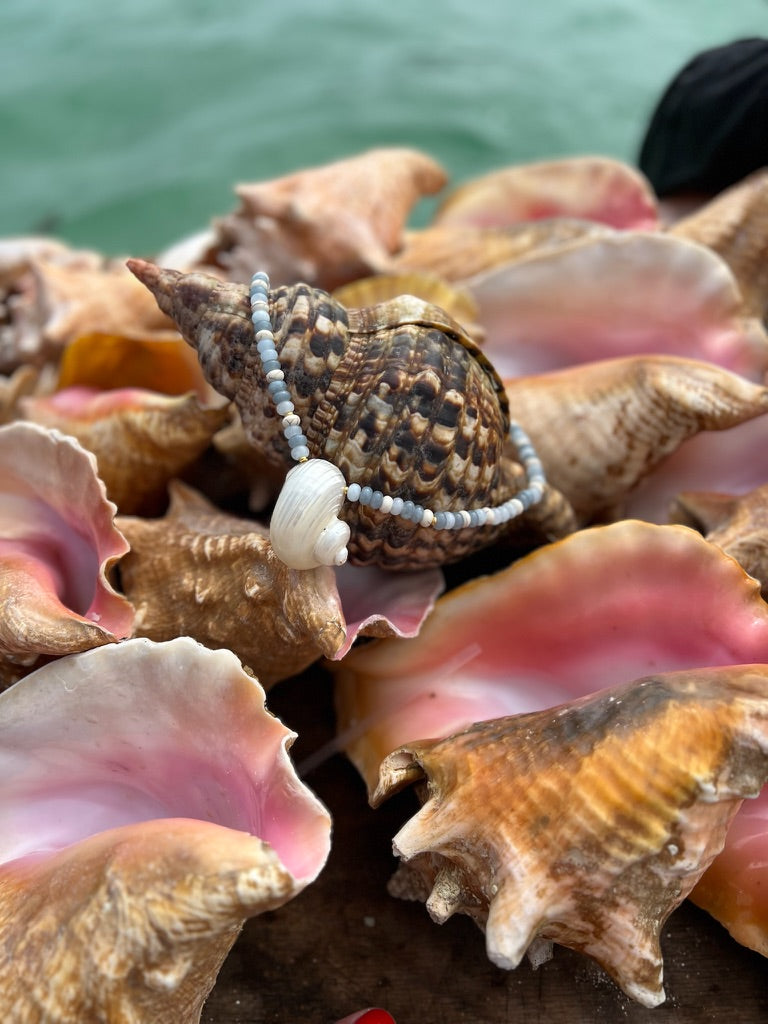 LouLu Necklaces Atlantic Turbo Shell Necklace