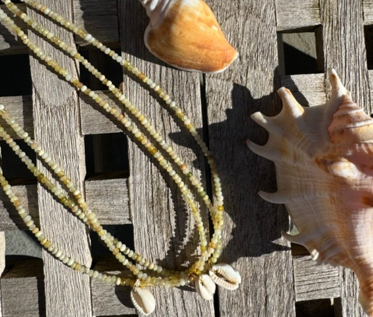 Saba Shell Necklace