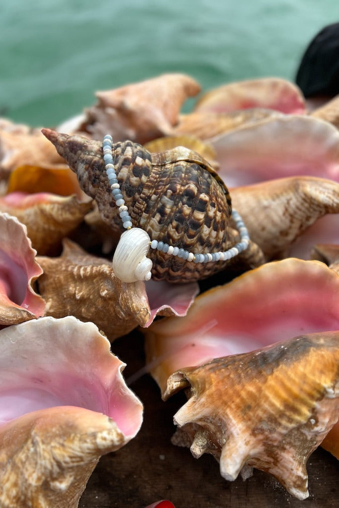 LouLu Necklaces Atlantic Turbo Shell Necklace